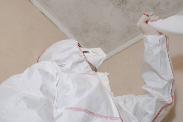 Best Local Mold Removal Service  in Newk, AR